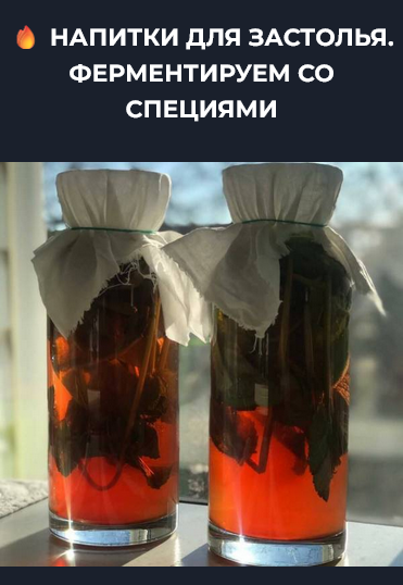 [Вероника Порсина] Напитки для застолья. Ферментир_0.png